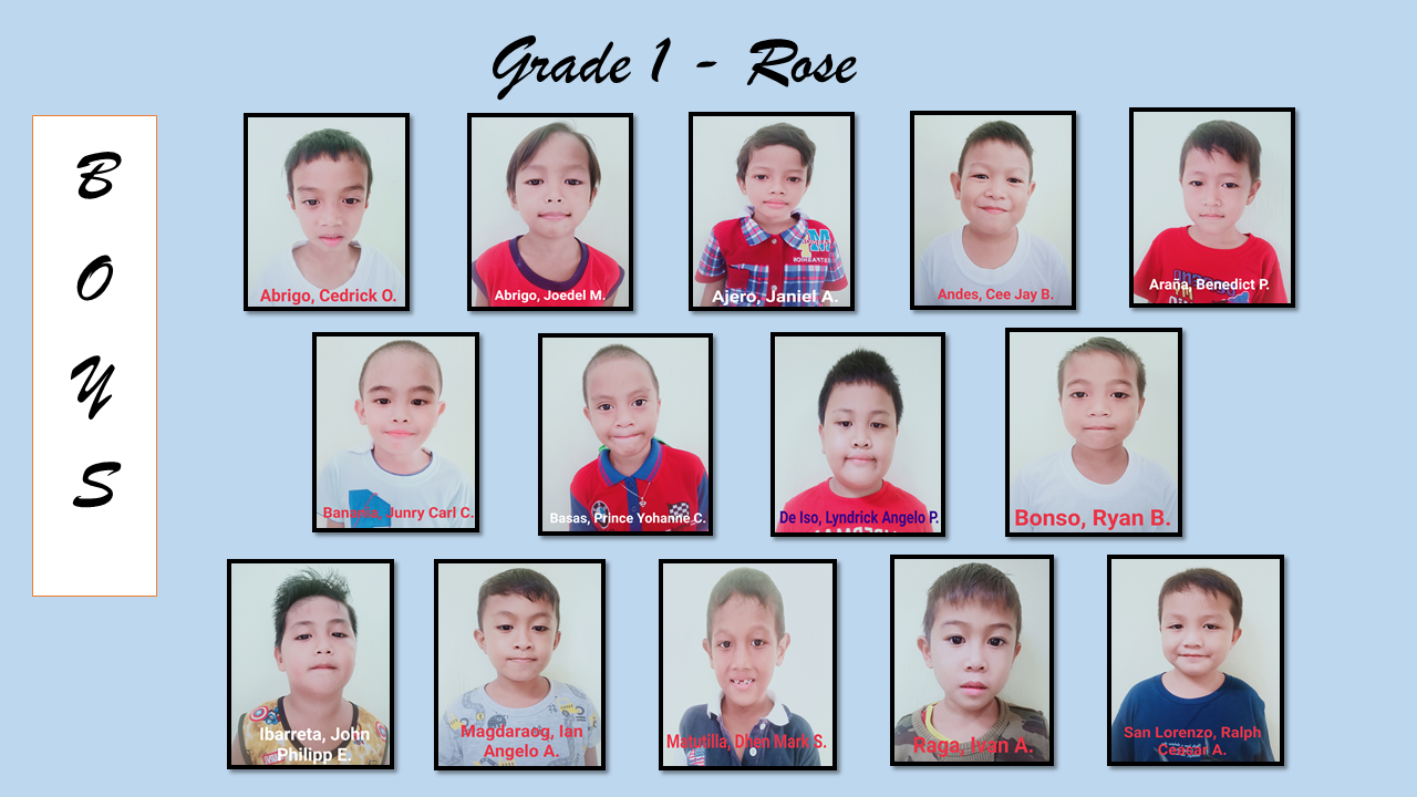 GRADE 1 - ROSE